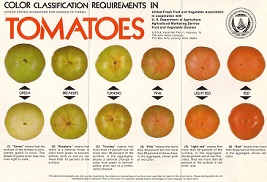 Tomato Color Chart