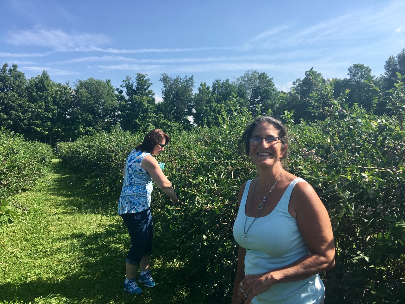 7.18.17 Farm Visit